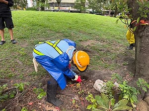 防疫漢他病毒 北市2月已開府級跨局處鼠類防治會議