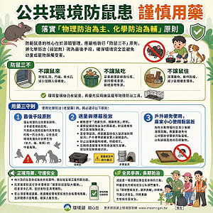 北市鼠患遭轟亂投藥 律師批：國民黨、共產黨處理事情都採「無差別」粗暴手段