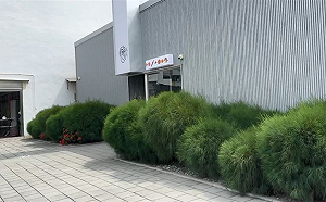 社會