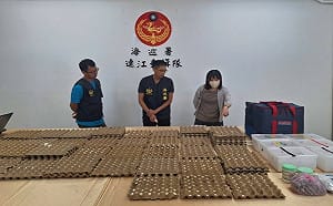 海委會擬增訂《野保法》「走私未遂」罰則   保育類鸚鵡蛋不再「查得到、罰不到」 