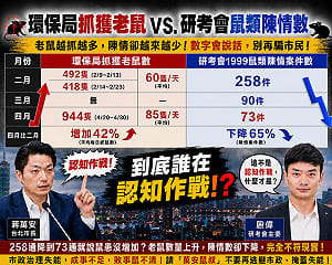 轟蔣萬安不敢認環保局抓的老鼠數 議員：拿研考會1999數據帶風向 才是認知作戰