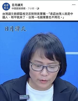 區桂芝喊「承認是中國人就和平」顏擇雅預言她被消失遺忘悲慘下場