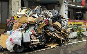 社會