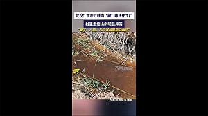 (影) 比例高得不尋常! 湖北小村逾10%居民罹癌 周邊化工廠長期排汙嫌疑大