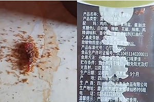 中國食品有毒! 海南兒童零食掉地上 螞蟻吃完竟集體暴斃 引發食安恐慌
