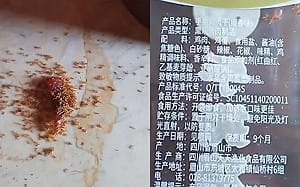 中國食品有毒! 海南兒童零食掉地上 螞蟻吃完竟集體暴斃 引發食安恐慌