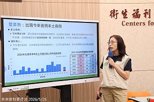 本土登革熱現蹤！梅雨季病媒蚊恐暴增　疾管署籲：快做4件事