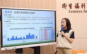 本土登革熱現蹤！梅雨季病媒蚊恐暴增　疾管署籲：快做4件事