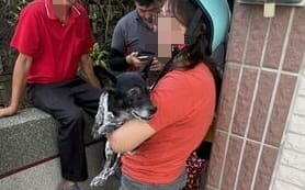 (影)懸賞50萬愛犬「美琪」 65歲阿北找到了 飼主感動落淚