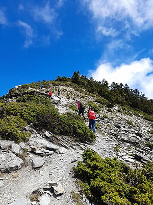 塔塔加豪車闖玉山登山口！駕駛身分遭起底  派出所所長喊冤：絕無關說