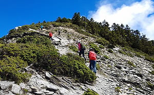 塔塔加豪車闖玉山登山口！駕駛身分遭起底  派出所所長喊冤：絕無關說