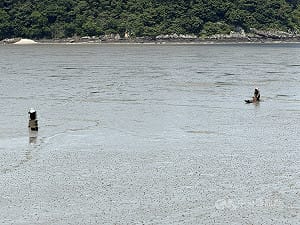 韓國擴大申請泥灘世界遺產  守護生態及傳統面貌