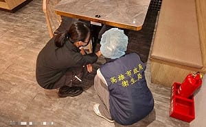 高雄燒肉店超大蟑螂上桌共食！網：有夠雷 衛生局開罰