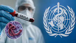 非洲伊波拉疫情升溫！WHO：確診逼近500例　CDC警告最糟恐逾2萬人染疫