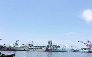 網路稱ART協定將「滅台灣漁業」漁業署5點澄清：絕不會放任產業單獨面對轉型挑戰