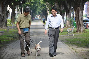 褐根病侵襲屏東路樹  米格魯偵測檢疫犬出動！