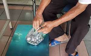 快去回收電池！衛生紙、洗碗精攏可換