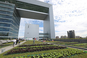 新北「公私家菜計畫」打造林口民視總部可食地景