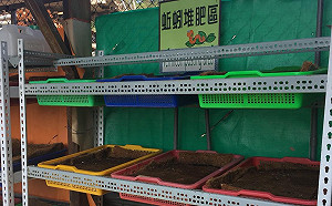 糞土變黑金 藍蚯蚓將垃圾變有機肥