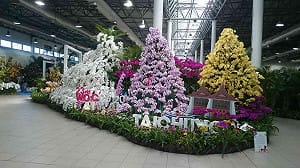 宣傳花博  中市赴厄國參加蘭花展奪亞軍
