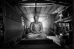 《大佛普拉斯》前進聖地牙哥亞洲電影節