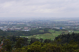 重現大古山野百合風華  鄭文燦：讓花海變特色