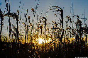 各地稍回溫  早晚溫差達10度