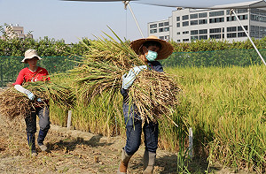 興大特殊選才招生開跑  優先錄取農家子弟