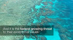 地球在哭泣！氣候變遷危及1/4世界自然遺產