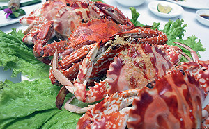 3千份海鮮料理任你吃！來去梧棲小旅行