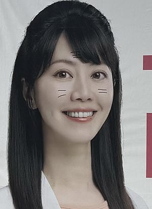 高嘉瑜、游淑慧等港湖議員參選人看板被畫成小花貓　網友讚「滿可愛」
