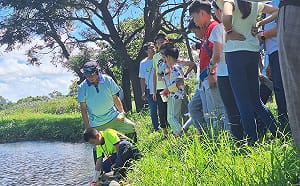 跟著海綿尋寶趣！2026新北濕地夏令營6/5開放報名