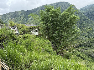南投霧社中巴墜坡　駕駛無照還有97張罰單未繳