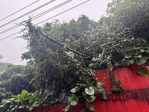 基隆大雨不斷！樹木傾到壓高壓電線 台電啟動預防性停電