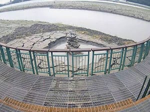水位漲逾1米、九蛙現身！日月潭水量為何卡在8成？台電釋疑