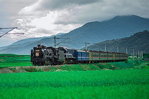 夏日限定花東鐵道之旅！仲夏寶島號暑假啟程   6/15限量開搶