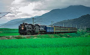 夏日限定花東鐵道之旅！仲夏寶島號暑假啟程   6/15限量開搶