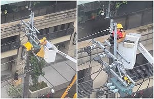 台電維護時暖舉引爆討論！搭建新鳥巢獲網盛讚：直接原地都更