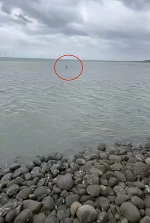 國小男童翹課海濱戲水搭保麗龍漂浮　釣客通報救援