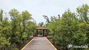 雙春濱海遊憩區木棧道完工  串聯台版亞馬遜生態秘境  打造濱海旅遊新亮點
