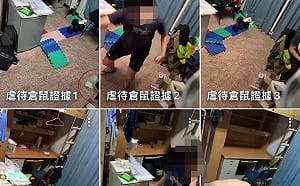 動保處出手了！高雄男大生虐殺倉鼠逾30隻   點火燒、串竹籤引撻伐 
