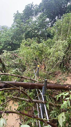 豪雨侵襲全台交通大亂！台鐵延誤77列次 高鐵樹倒觸發告警系統
