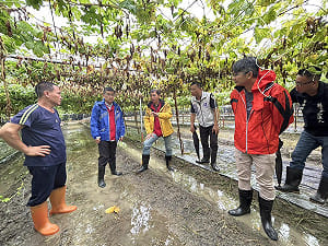 6月豪雨帶來農損    屏縣府爭取農業部天然災害救助全品項免勘