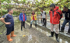 6月豪雨帶來農損    屏縣府爭取農業部天然災害救助全品項免勘