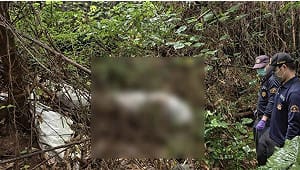 彰化芬園荔枝園驚見蠟化裹屍　警鎖定疑犯拘提到案