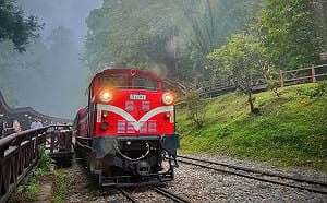 拍網美照恐噴5萬元！阿里山4遊客闖鐵軌遭取締