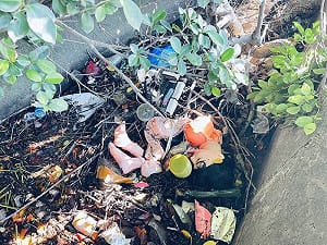 彰化村長巡水溝驚見「裸女遭分屍」！細看竟是情趣娃娃 怒轟：沒公德心