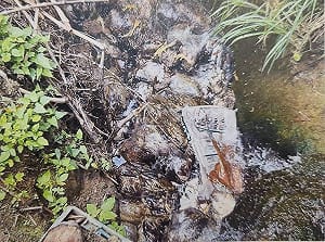 逾百隻死雞打包丟溪中　苗縣牧場業者遭起訴