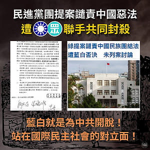 藍白否決中國民族團結法譴責案　綠：民眾應記住