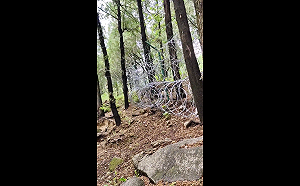 135公里刀片網圍泰山惹眾怒! 浙江媒體痛批粗暴管理 山東反嗆「雙標」